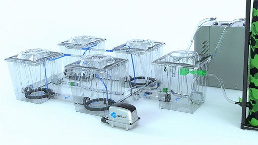 RDWC Hydroponic System from ALIEN Hydroponics - Buy UK