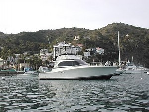Fishing Boats For Sale