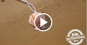 Make Your Own DIY Seashell Necklace