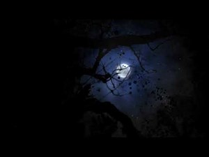 4K Full Moon View - Moving Background #AAVFX Dark Night - Live Wallpaper