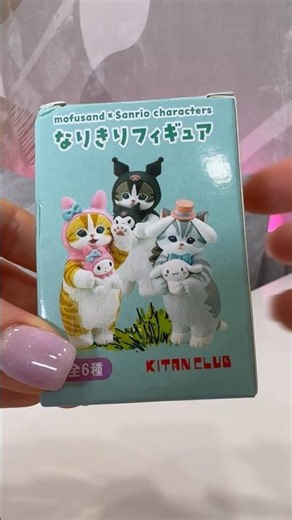 Cute Cats Unboxing 🐱🩵 Adorable Kitty Surprises