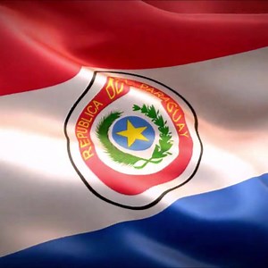 Hagamos flamear nuestra bandera y reafirmemos la justicia, la paz y la libertad. ¡Feliz día de la bandera paraguaya! #PumaEnergyPy #PararCargarSeguir | Puma Energy
