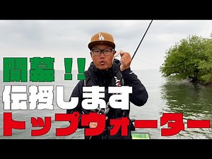 Top water fishing is possible!