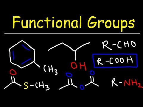 Functional Groups