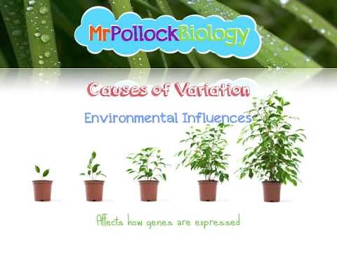 Variation - Causes and Types