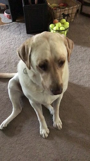 June Lockhart Smith (@junelockhartsmith)’s videos with original sound - Lilith