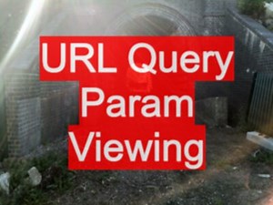 How to View URL Query Parameters using Browser Dev Tools