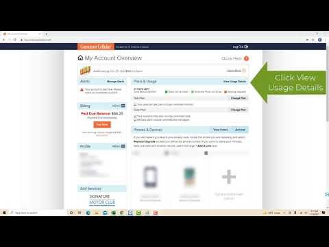 How to view your Consumer Cellular usage details