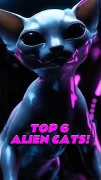 Top 6 Alien Cats From Deep Space! 👽🐱 | Mind-Blowing Cosmic Creatures #shorts #aicat #cute