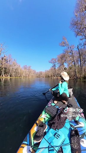 Paddleboarding in Florida: Facing Alligators Safely
