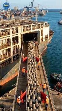 How Thousands of Animals Enter One Ship! #shorts #ocean