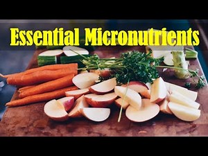 Sources of Essential Micronutrients: Vitamins and Minerals