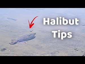 Halibut tips | Drop Shot Rig (EXPLAINED)