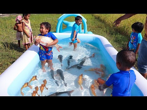 Sneyha, Arbin & Javan Fun Playing With Real Fish in Inflatable Swimming pool - Cute Sneyha's Show