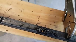 18 Ideas and Plans on How to Build DIY Bass Traps