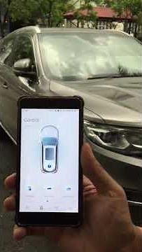 PROTON X70 - PROTON Link remote control.