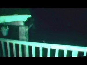 Still Pictures or Large Greys and Rods !!! Alien Sighting 16