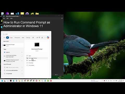 How to Run Command as an Administrator in Windows 11