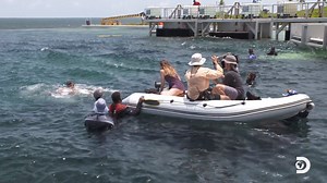 Follow Josh Duhamel on this exclusive behind-the-scenes look at Shark Week's first original film, Capsized: Blood in the Water. Watch now on Discovery GO--> Discovery.com/Capsized | Discovery