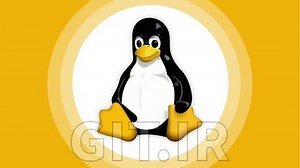 Mastering Linux: The Comprehensive Guide to the Command Line