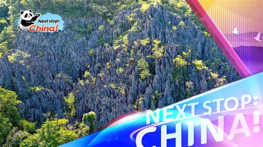 Xian'an Stone Forest in Baoting: A karst fairyland