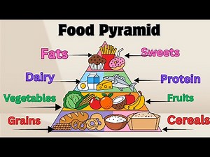Balanced Diet : The Food Pyramid Explained | Kids Learning Video