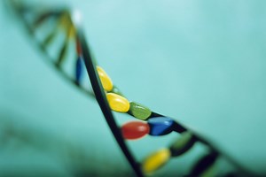 Sweet Learning: Make a DNA Model Using Candy