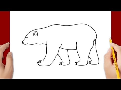 Cómo dibujar un oso polar
