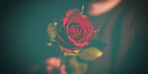 POF Scams: Catfish Scams, Romance Scams, and More