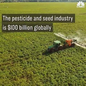 This is a robot developed by EcoRobotix. It uses #AI and cameras to detect and destroy weeds, it can kill the weeds for 12 hours straight, as it is solar powered. VC: CNBC | TechVersions