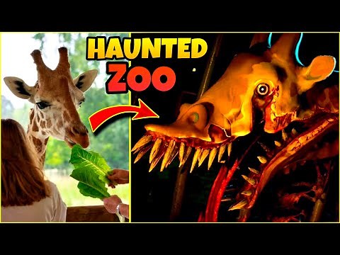 Zoochosis Mutant Animals 😱 First Night as Zookeeper Horror Gameplay | Jill Zone