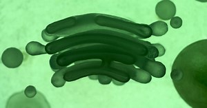 ‘Alien’ DNA May Exist Within Humans, Genetic Study Claims