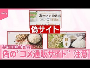 【注文しても届かず】「5キロ1000円台」表記も 偽の“コメ通販サイト”に注意 住所を訪ねてみると…