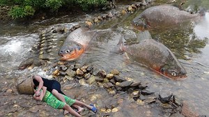 Survival Skills: Primitive Fishing Skills Catch Big Fish At Stream - Cooking Fish For Survival © Copyright by Primitive Cooking KT | Primitive Cooking KT