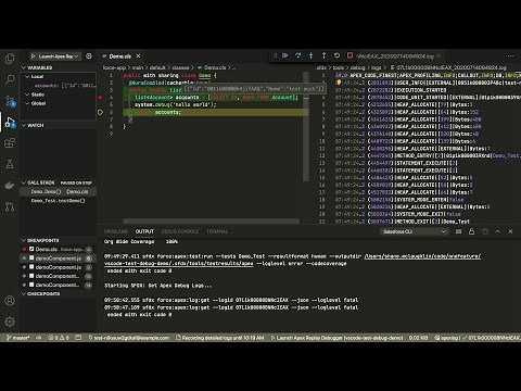 VSCode: Test Debug