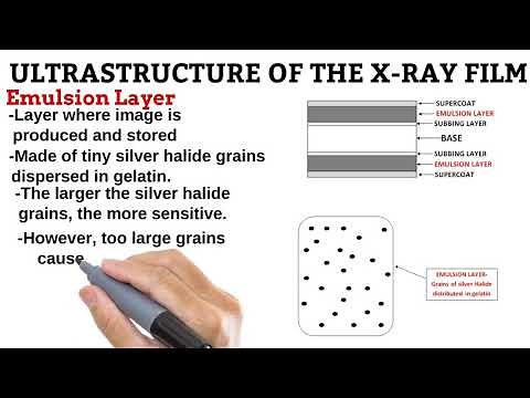 8. Layers of the X-Ray Film RADIOGRAPHIC IMAGING