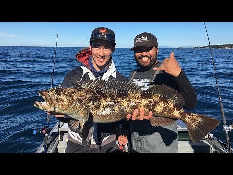 EPIC Lingcod Fishing (Monterey, California) ft. Ish With Fish and Native Anglers (CRAZY ENDING)