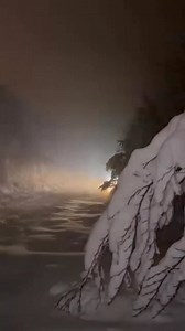 Natën e mirë nga Puka! | JOQ Albania