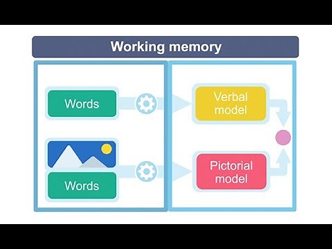 The Role of Working Memory for Learning