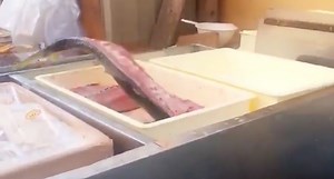 Why'd This Video of a Flopping Filleted Fish Go Viral? Anglers Know All About This