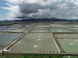 動画：中国最大のウナギ養殖・輸出拠点を訪ねて 広東省台山市