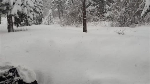 Winter Storm Brings Several More Inches of Snow to Lake Tahoe