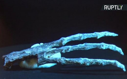 'Reptilian' Mummies From Peru Cause Huge Excitement in UFO Community