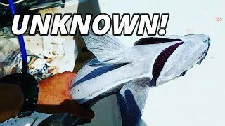 The alien fish catch that made us question every species chart