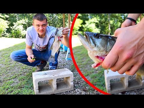 Largemouth Bass CATCH CLEAN COOK!