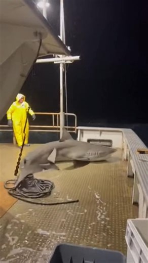 A massive wave crashes over the side of a boat at night.