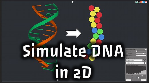 DNA simulator by Spontaneous Simulations