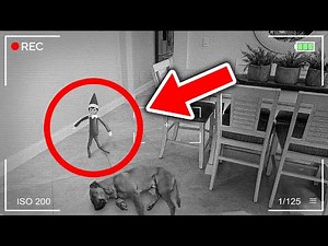 20 Times Elf on the shelf caught moving on camera walking 😱