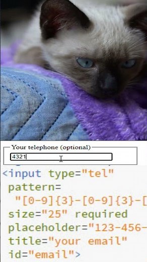 HTML input tel pattern