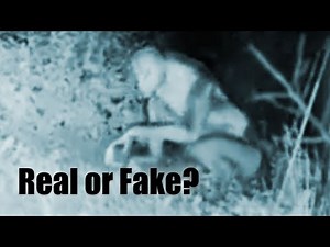 LAS VEGAS BACKYARD ALIEN